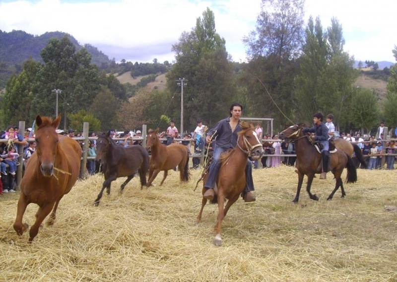 Comunidad Indígena Illahuapi Bajo