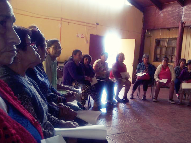 CVD Claro de Luna Valdivia CVD Claro de Luna Valdivia